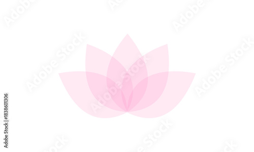 Pink Lotus Flower Petals Isolated on White Background.