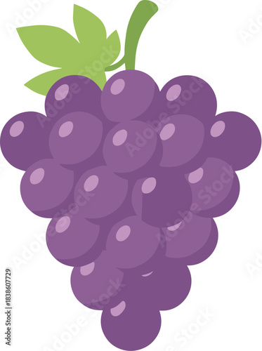 A simple vector illustration of a bunch of purple grapes with a green leaf.