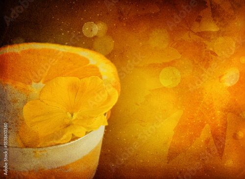 Festive cocktail in orange colors. Autumn mood. Artistic drink photography with rich amber tones