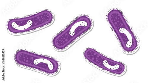 Microscopic view of multiple purple rod shaped bacteria with white flagella like structures and granular internal texture isolated on a black background detailed illustration