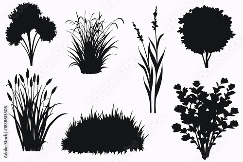 Collection of diverse plant and bush silhouettes for garden design