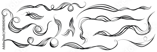 Swirls, looping threads, vector lines. Wavy lines with smooth curves. Curved line drawn by hand in black ink. Frame or border for decoration. Vector illustration.