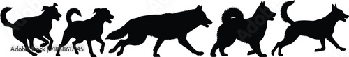 Group of Various Dog Breeds Silhouettes Running and Walking in a Line, Including German Shepherd, Akita, and Small Terriers, Domestic Animal Vector Illustration for Pet Shops and Vets.
