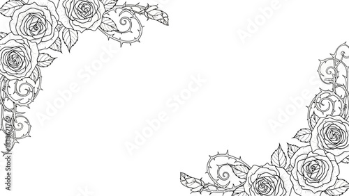 Elegant floral frame with roses and thorns illustration for banners and invitations