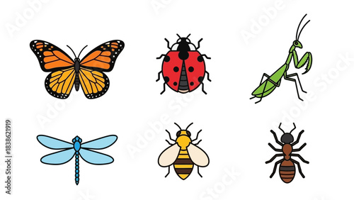 Colorful insects illustration set butterfly ladybug praying mantis dragonfly bee ant