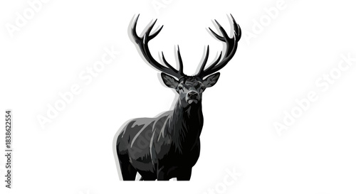 Majestic Stag Portrait - A Striking Black and White Wildlife Image.