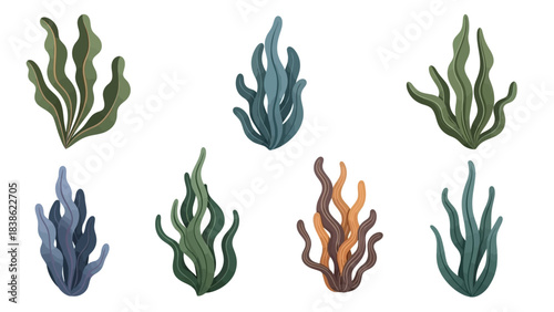 Stylized aquatic plant illustrations set on white background for design projects