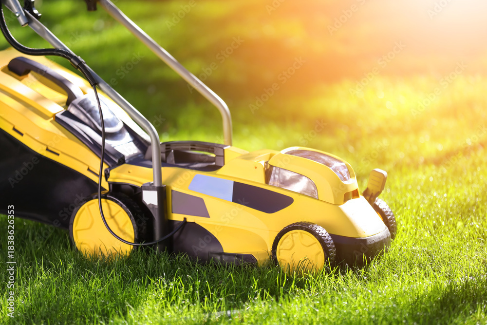 Fototapeta premium Modern lawn mower on green grass outdoors
