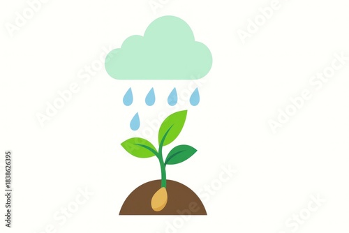 The beginning of the growth of a small seed in the ground has sprouted, and clouds are raining down on the young plant.