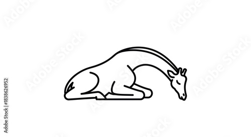Resting Giraffe Illustration - A Minimalist Line Art Depiction.