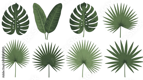 Tropical Leaves Collection - Monstera Banana and Palm Leaf Set