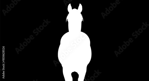 Silhouette of a Horse Standing Tall Against a Dark Background.