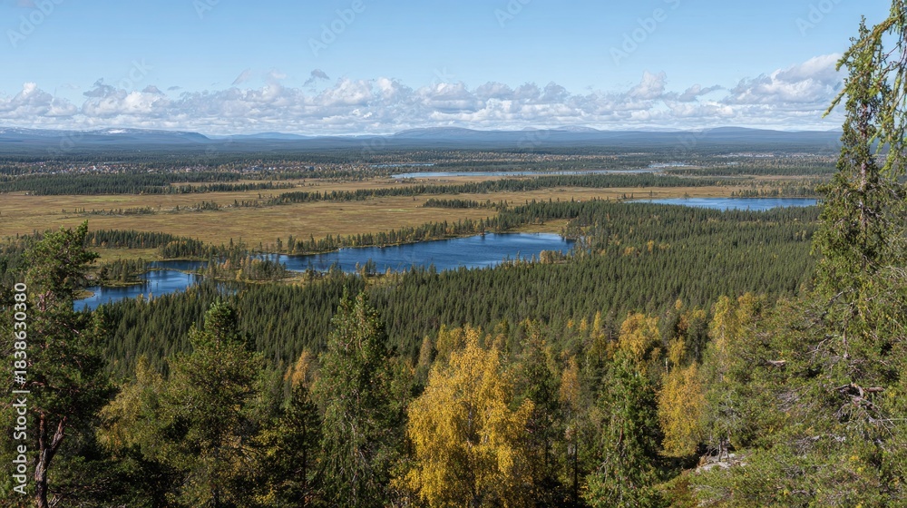 Fototapeta premium Panoramic view of a vast boreal forest landscape with lakes and wetlands.