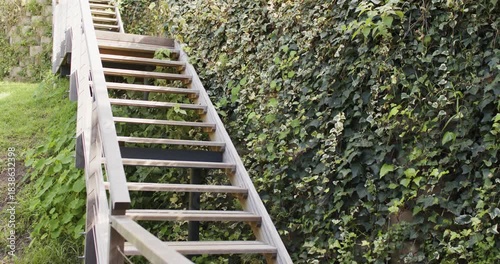 Camera starting recording and holding shot of metal frame staircase ascending grassy slope with ivy