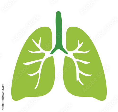 Lungs vector stylized green organ with bronchial branches isolated on white — stock vector