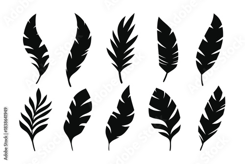 Collection of diverse black feather silhouettes against a white background