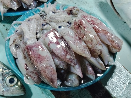 The raw texture and color of several tropical squid specimens, highlighting their delicate, glistening skin.