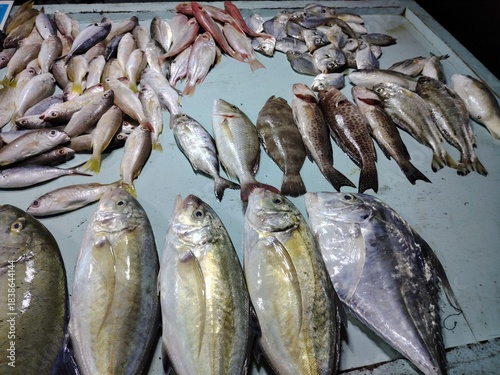 Freshly harvested seafood.