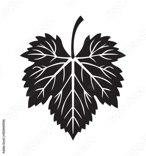 Grape leaf vector silhouette, bold black line art with detailed veins — stock vector