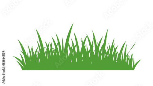 A Dense Patch of Vivid Green Grass Blades Standing Tall Against a Stark Black Background Suggesting Growth and Nature