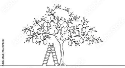Line drawing of a fruit tree with a ladder standing beside it, depicting apples hanging from the branches, isolated on a transparent background