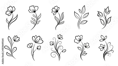 Elegant black and white floral line art illustrations for decorative designs and artistic