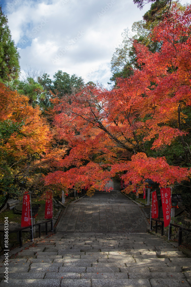 Naklejka premium Autumn scenery of Horin-ji Temple in Arashiyama, Kyoto, Japan