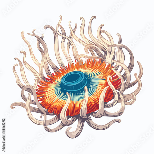 Vector illustration of a sea anemone with flowing tentacles and a vibrant orange and blue center, isolated on a white background.