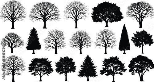 Curled up woman silhouette vector illustration, sad depressed female figure sitting alone hugging knees, concept of stress loneliness depression or mental health crisis, black isolated on white