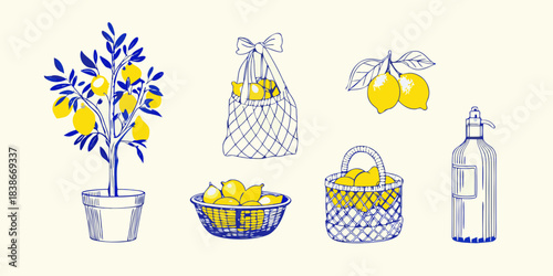 A charming illustration featuring lemons baskets and a botanical style presentation