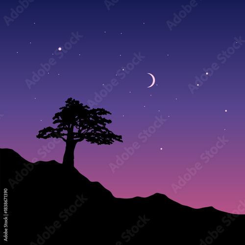 night landscape with tree