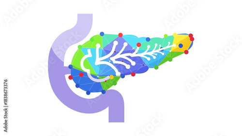 Anatomy of the Pancreas: A detailed illustration of the human pancreas, showcasing its intricate structure and its place within the digestive system, promoting an understanding of human biology. 