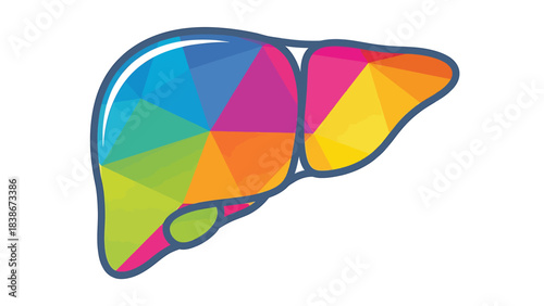 Vibrant Liver Anatomy: A colorful and contemporary illustration of the liver, showcasing its complex structure and vital role in the human body. 