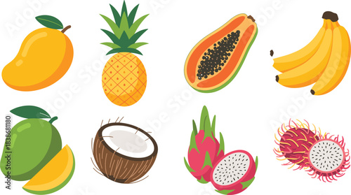 Tropical fruits illustration, mango, pineapple, papaya, banana, coconut, dragon fruit, rambutan, exotic food vector, healthy summer fruit design