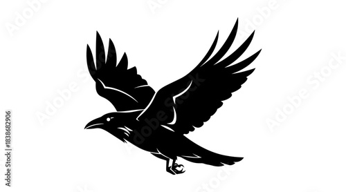 Black silhouette of a flying raven or crow, isolated on