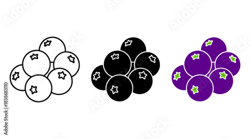 Set of blueberry icons outline, solid black, and color fill styles