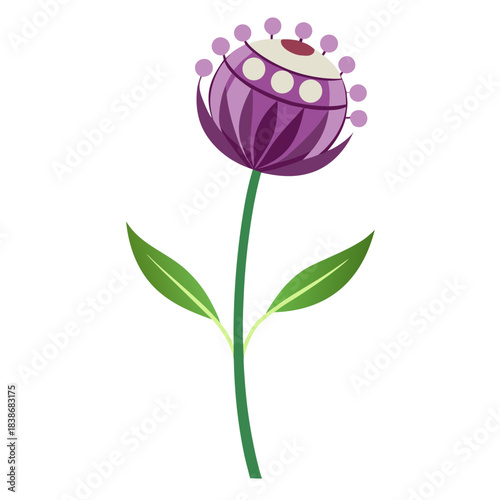 purple  flower isolated on white background
