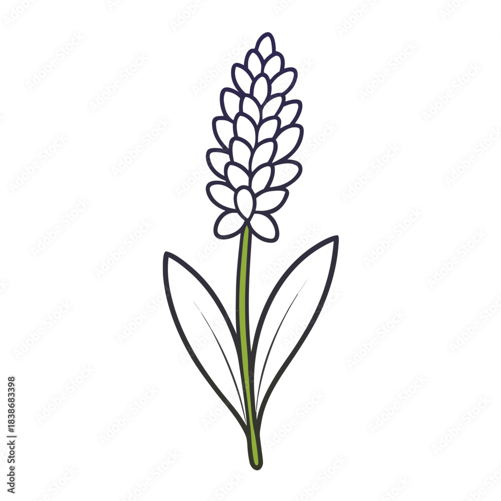 Fototapeta premium white flower isolated on white