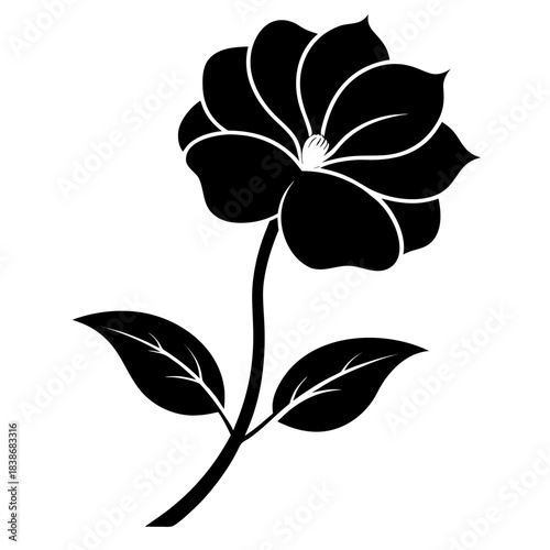 black and white flower