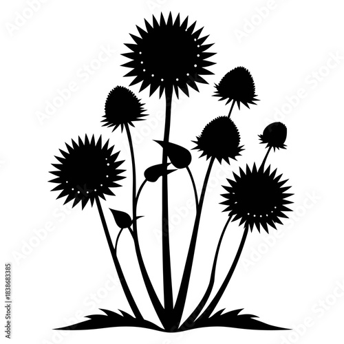 vector silhouettes of globe thistles flower