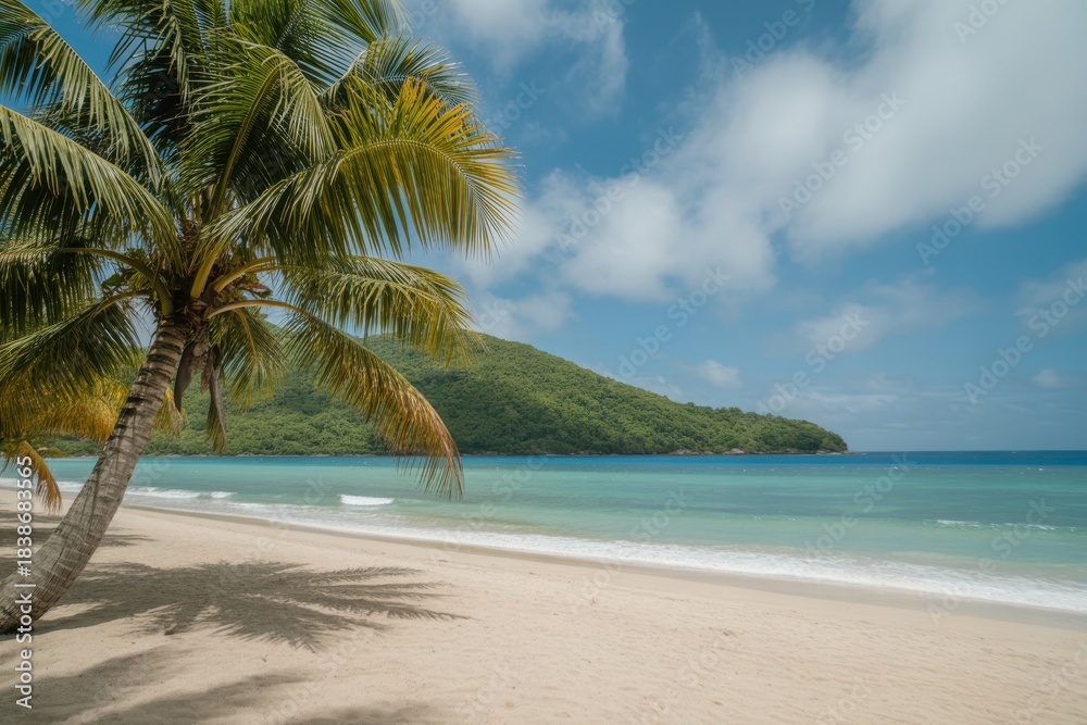 Obraz premium Tropical beach paradise with palm tree and green island