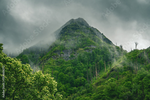 Φωτογραφία Misty Green Peak in Great Smoky Mountains National Park, Foggy Appalachian Mount