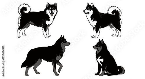 A charming collection of four distinct black and white vector illustrations depicting a cute dog in various poses, perfect for graphic design projects.