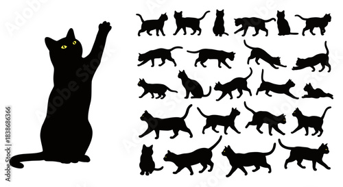 A versatile collection of sleek black cat silhouettes in various dynamic poses, perfect for graphic design projects on a clean white background.