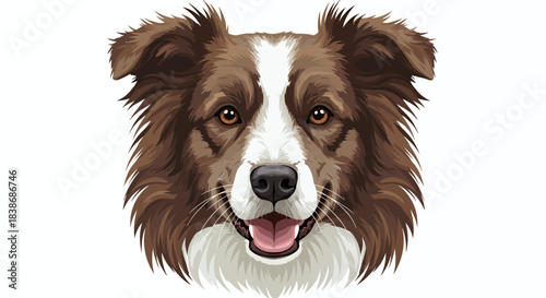 A friendly Border Collie dog's head is depicted as a detailed vector illustration, showcasing a happy, open-mouthed expression, ideal for graphic design projects.