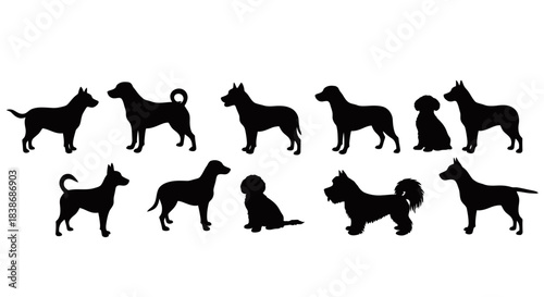 Various Dog Breeds Black Silhouette Vector Collection