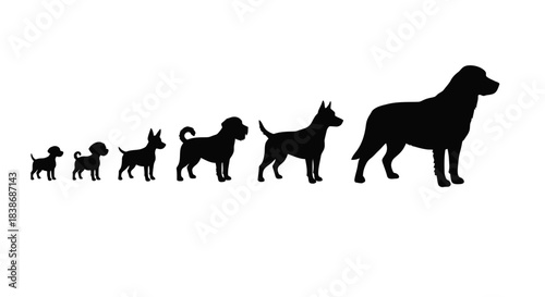 A row of black dog silhouettes illustrating different sizes and breeds, isolated on a clean white background, perfect for pet-related design concepts.