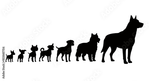 A clean vector graphic featuring a diverse line-up of black dog silhouettes, illustrating various breeds and sizes arranged neatly on a white background.