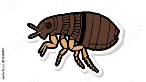 Illustration of a Flea Insect Close Up Side View Detailed Drawing Flat Vector Style on Black Background