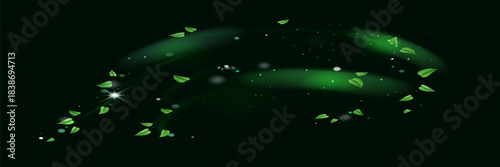 Green shiny line spiral spring wind effect with dust particles and leaves particles on black background. Concept of freshness, growth, spring, summer and ecology.